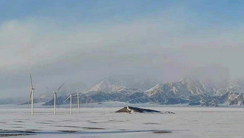 Propoweress provides DimensionX3 for Qinghai Lenghu CGN Wind Farm